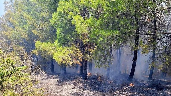 Yangına havadan ve karadan müdahale