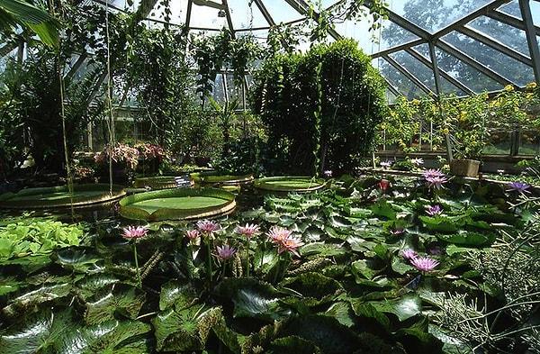 5. Lyon şehrinin şahane botanik parkı: Lyon Botanical Garden