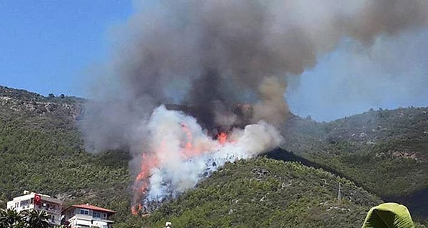 Yanan bölgede soğutma çalışmalarına devam eden ekipler tarafından gelen bilgiler doğrultusunda; yaklaşık 4 dönümlük bir ormanlık alanın zarar gördüğünü açıkladı.