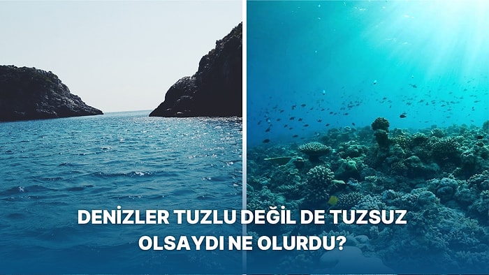 Denizlerin Neden Tuzlu Olduğunu ve Tuzlu Olmasaydı Neler Olacağını Hiç Merak Ettiniz mi?