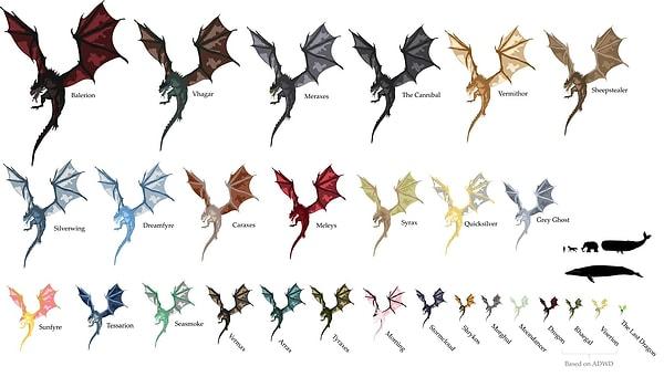 Bildiğiniz gibi ejderhalar Game of Thrones serisinin önemli bir parçası... Birbirinden farklı özellikleri ile gelin bu ejderhaları birlikte tanıyalım.