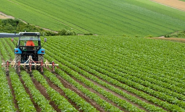 Türkiye İstatistik Kurumu(TÜİK), tarımsal girdi fiyatları endeksini açıklayacak. Tarımsal girdi fiyatları en son yüzde 134,96 seviyesine ulaşmıştı (10.00).