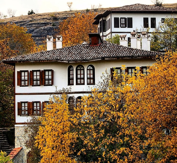 8. Safranbolu