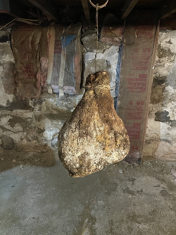 Этот ужасающий кусок мяса, висящий в подвале дома, который мы снимали через Airbnb: