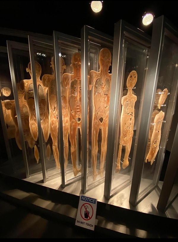 Разрезанные на кусочки человечки: