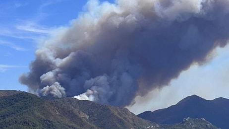 Marmaris’te Orman Yangını: Hem Havadan Hem de Karadan Müdahale