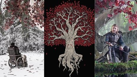 House of the Dragon ve Game of Thrones Dizilerinde Gördüğümüz Weirwood Ağacının Anlamı Nedir?