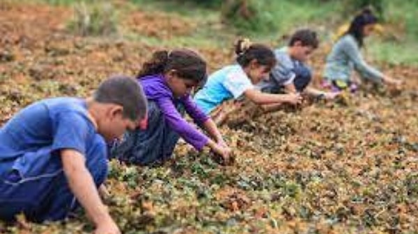 'Avrupa’nın en zengin ülkeleri çöpünü Türkiye’ye gönderiyor'