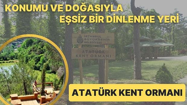Üç Gölete ve Yürüyüş Parkurlarına Sahip 1000 Dönümden Fazla Bir Ormanlık Alan: Atatürk Kent Ormanı