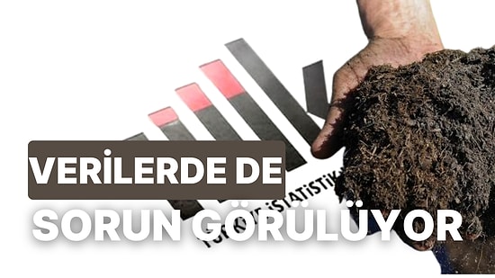 TÜİK Verilerinde Tüketici Güveni Arttı Ancak Asıl Sorun Tarımda! Dünyada Büyüyen Gübre Sorunu