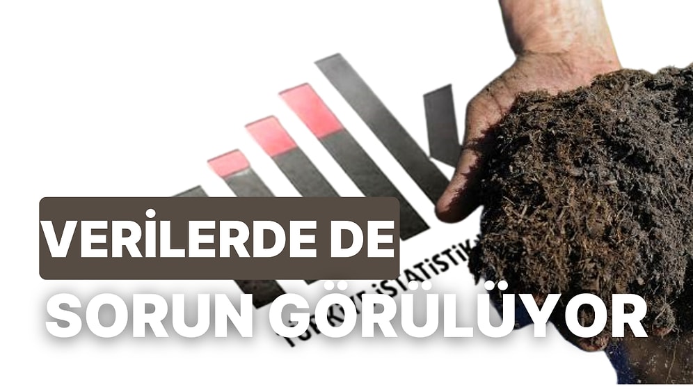 TÜİK Verilerinde Tüketici Güveni Arttı Ancak Asıl Sorun Tarımda! Dünyada Büyüyen Gübre Sorunu