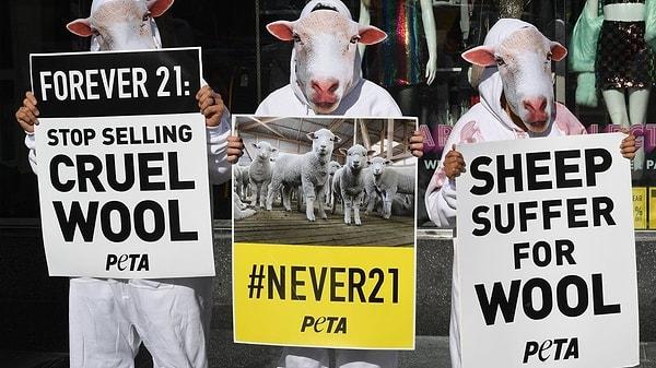 Hayvan Hakları Kuruluşu PETA'yı mutlaka duymuşsunuzdur. Et tüketimine karşı yaptıkları eylem ve açıklamalar ile sıklıkla gündem oluyorlar.