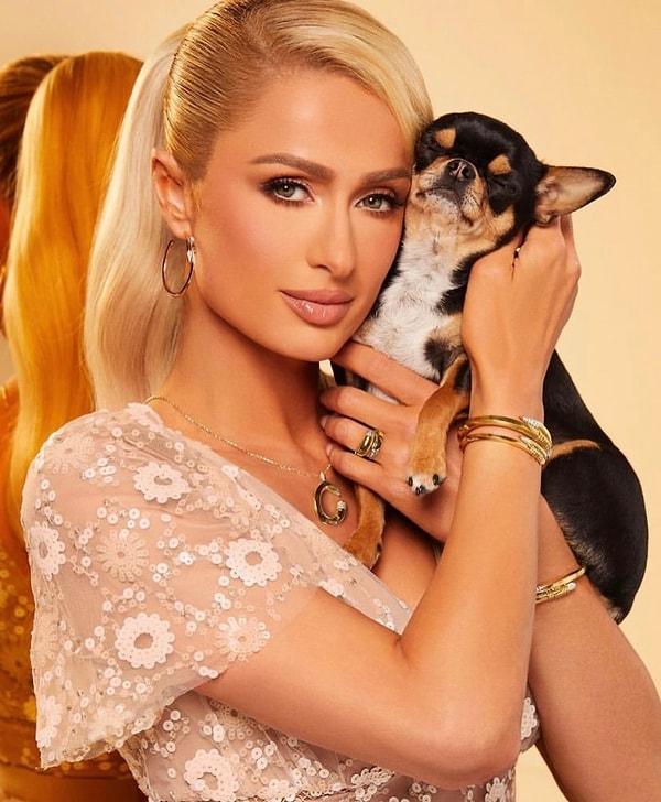 Paris Hilton, köpeği bulmak için bir evcil hayvan dedektifi tuttu. Hilton'un köpeğini bulmak için bir medyum tuttuğu da söyleniyor.