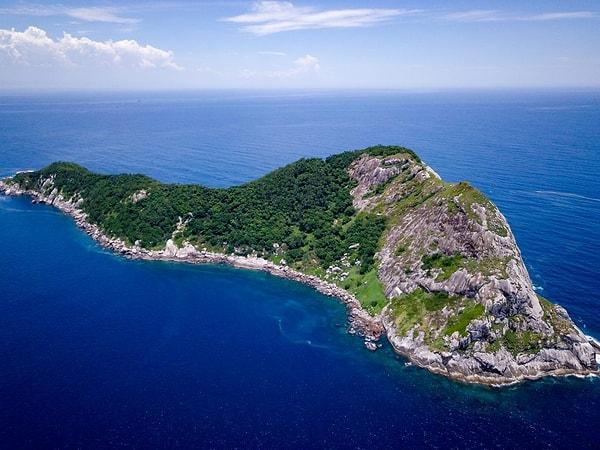 Atlantik Okyanusu'ndaki Brezilya açıklarında yer alan Ilha da Queimada Grande adlı bu adaya girişler yasak...