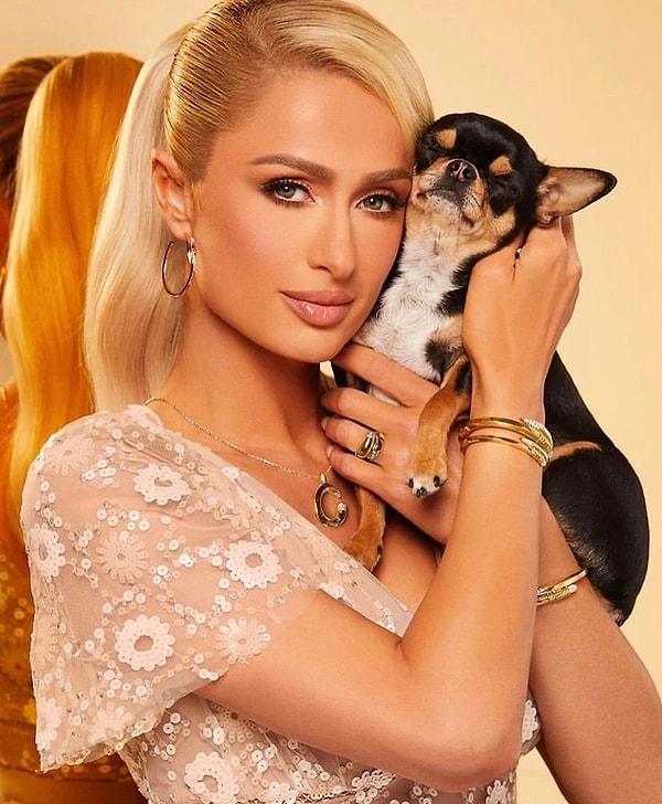 6. Paris Hilton, kaybolan köpeğini bulan kişiye büyük ödül vereceğini açıkladı!