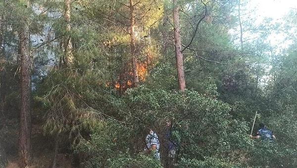 Denizli'nin Buldan ilçesine bağlı Karşıyaka Mahallesi'ndeki Haydar Bağları mevkiinde bulunan ormanlık bir alanda yangın çıktı.