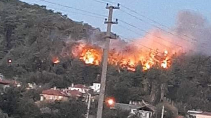 Muğla Ula’da Orman Yangını: Yerleşim Yerlerine Çok Yakın