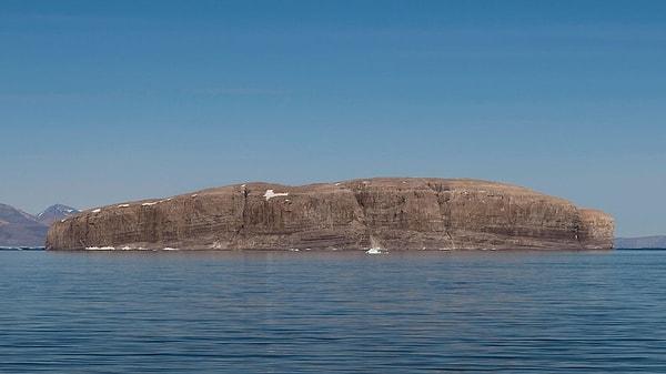 1971 yılından beri Danimarka ve Kanada, Nares Boğazı'nda yer alan küçük bir kaya parçası olarak da nitelendirebilecek bir ada üzerinde hak iddia ediyordu.