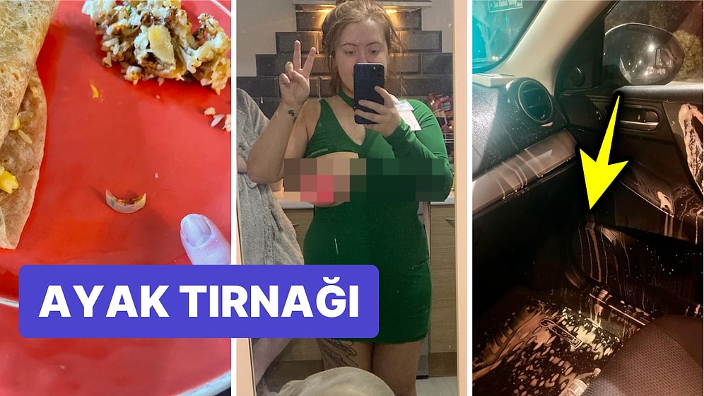 Çöle Düşse Kutup Ayılarıyla Karşılaşıp Birtakım Tatsız Olaylar Yaşayabilecek 15 Bahtsız Kişi