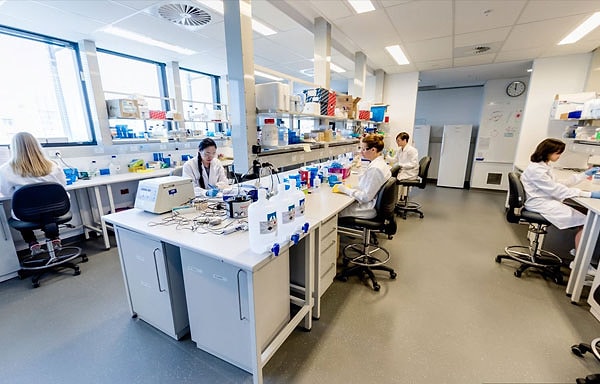 New South Wales Üniversitesi Tıp ve Sağlık Departmanı Yaşlanma Araştırmaları Laboratuvarı başkanı Dr Lindsay Wu, telomeraz aktivitesi ile kanser arasında bir bağlantı olduğu keşfedildi ve şunları belirtti: