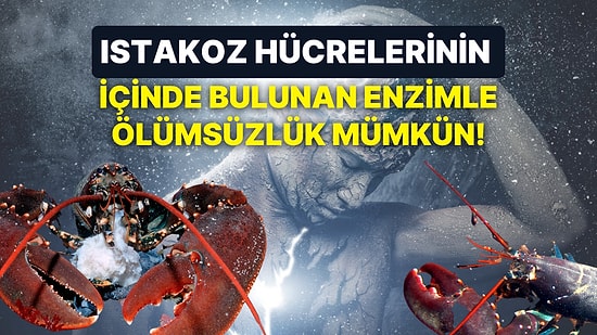 Bilim İnsanlarının Keşfettikleri Bir Enzim Sayesinde İnsanlar "Ölümsüz" Olmaya Bir Adım Daha Yaklaştı!