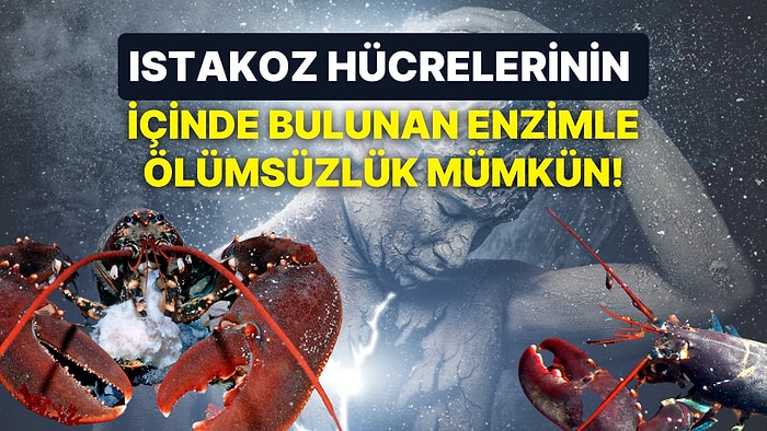 Bilim İnsanlarının Keşfettikleri Bir Enzim Sayesinde İnsanlar "Ölümsüz" Olmaya Bir Adım Daha Yaklaştı!