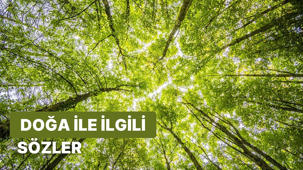 Doğa ile İlgili Sözler: Eşsiz Güzelliği ile Büyüleyen Doğa ile İlgili Söylenmiş En Güzel ve Anlamlı Sözler