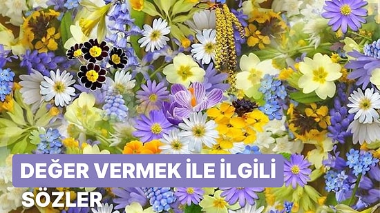 Değer Vermek ile İlgili Sözler: Değer Vermek Üzerine Söylenmiş En Anlamlı ve Güzel Sözler