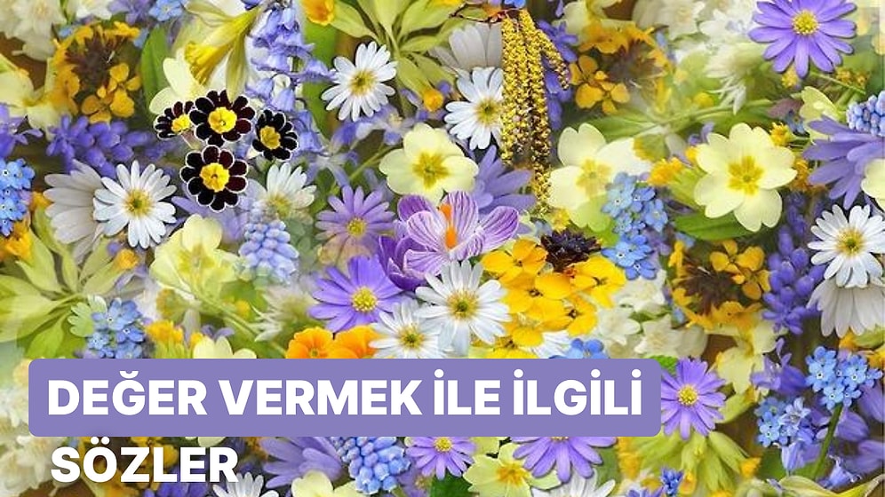 Değer Vermek ile İlgili Sözler: Değer Vermek Üzerine Söylenmiş En Anlamlı ve Güzel Sözler
