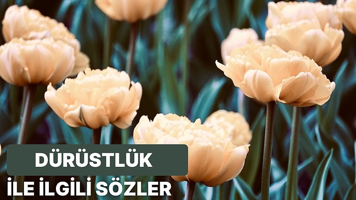 Dürüstlük ile İlgili Sözler: Dürüstlük Hakkında Söylenmiş En Güzel ve Anlamlı Sözler