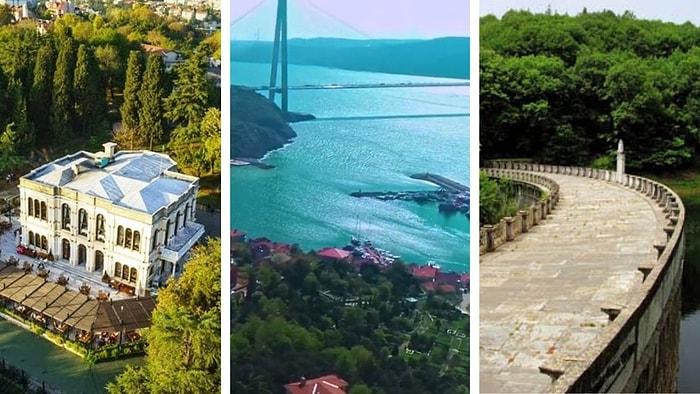 Sevdiklerinizle Vakit Geçirme Zamanı Geldi: İstanbul'da Keyifle Piknik Yapabileceğiniz 11 Yer