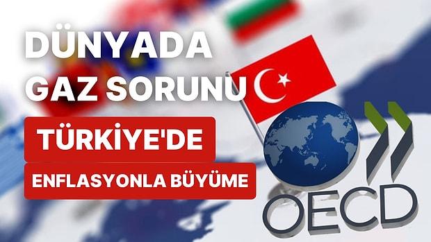 OECD'nin Türkiye İçin Tahminleri İyileşirken, Dünya Savaşın Bedelini Ödüyor