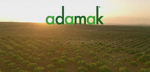 100. dedication: adamak