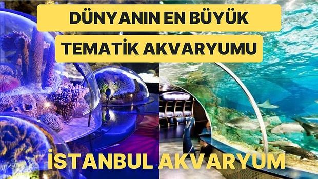 Sayısız Canlı Türüyle Eşsiz Bir Görsel Şölen Yaşatan Dünyanın En Büyük Tematik Akvaryumu İstanbul Akvaryum
