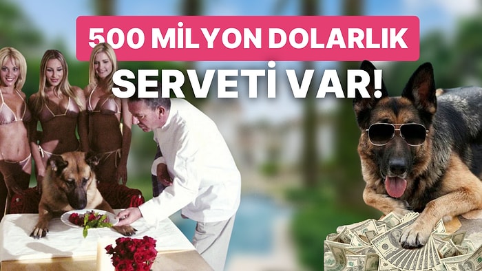 Malikanelerden Özel Jetlere... Dünyanın En Zengin Köpeği Gunther'ın Fakirliğimizi Yüzümüze Çarpan Lüks Hayatı