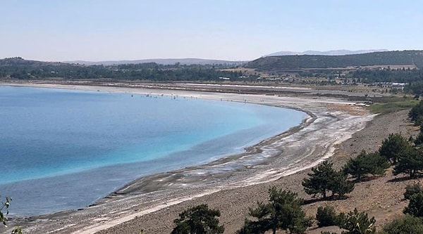 "Endemik canlılar da tehlike altında"