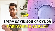 Araştırmalar Düzenli Olarak Çay İçen Erkeklerin Sperm Kalitesinin Arttığını Ortaya Çıkarttı!