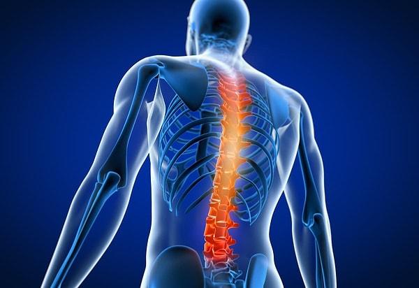 2. spinal (adj): omurga ile ilgili olan