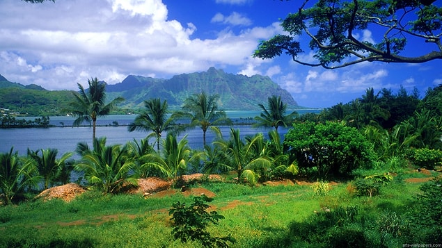 Chi ama stare alle Maldive di più è chi ama la natura...