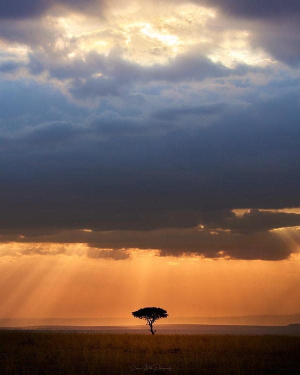 8. Masai Mara'da gün batımı - Kenya: