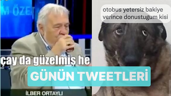 Çayla Aşk Yaşayan İlber Hoca'dan Capslere Meze Olan Derdo Köpeğe Son 24 Saatin Viral Tweetleri