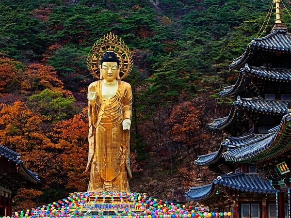 Tripiṭaka Koreana'nın tarihsel değeri, Budizme ait bilimsel incelemelerin, yasaların ve kutsal yazıların en eksiksiz ve doğru mevcut koleksiyonu olması gerçeğinden geliyor.