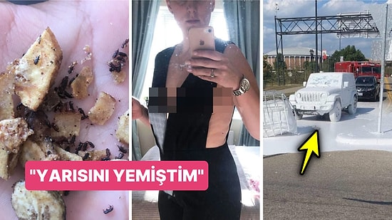 Çöle Düşse Kutup Ayılarıyla Karşılaşıp Birtakım Tatsız Olaylar Yaşayabilecek 15 Bahtsız Kişi