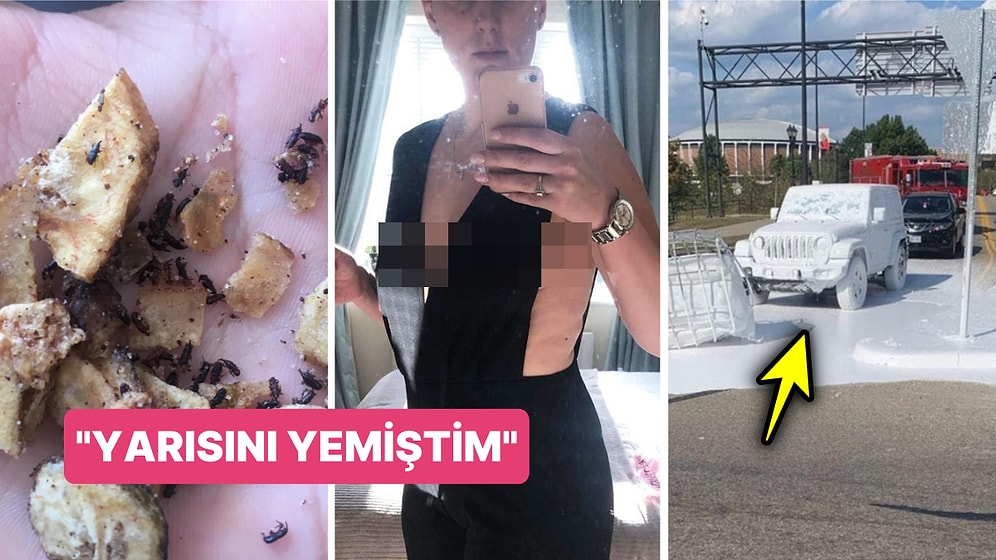 Çöle Düşse Kutup Ayılarıyla Karşılaşıp Birtakım Tatsız Olaylar Yaşayabilecek 15 Bahtsız Kişi