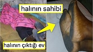 Kör Kuyularda Durmaktan Kapkara Olan Halının Yıkanma Videosuna Yaptıkları Yorumlarla Hepimizi Güldüren Kişiler