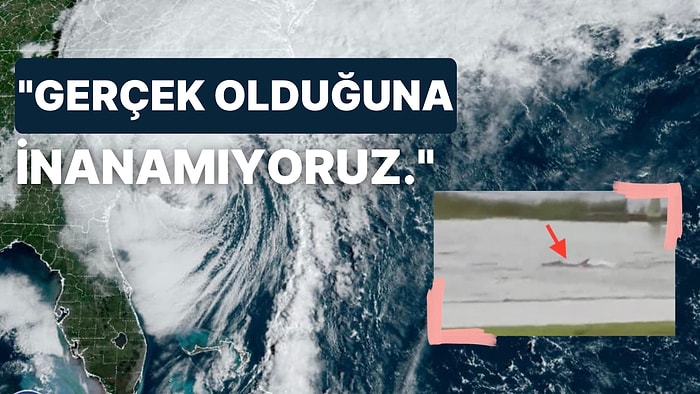 Görenler Gözlerine İnanamadı: Florida'yı Vuran Ian Kasırgasından Sonra Sokakta Köpek Balığı Görüldü!