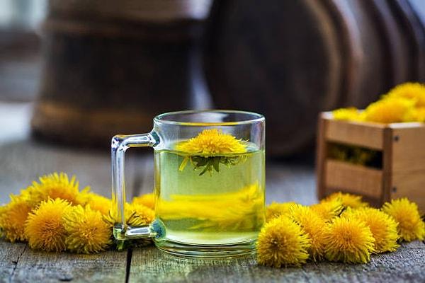 15. Bağışıklık sistemini güçlendiren etkili bir lezzet: Karahindiba çayı tarifi