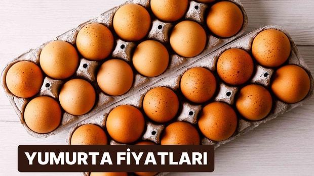 Yumurta Yeniden Zamlandı: Zamlanan Yumurta Fiyatları Ne Kadar, Kaç TL?