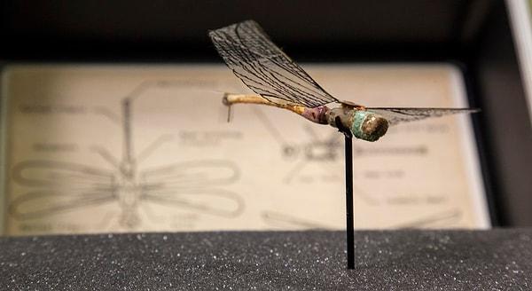Bilim kurgu filmlerinden fırlamış gibi duran 'robot sinek' de müzede sergileniyor.