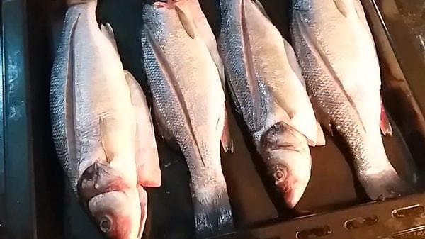 8. Levrek. En sevilen balık türlerinden biri olan levrek ekim ayında çok lezzetlenir.